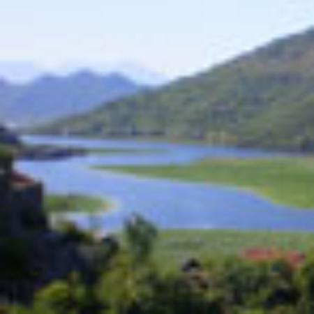 HongYun TianWai Tian Roast Duck